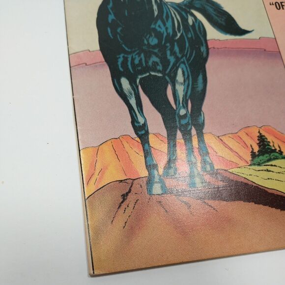 Black Fury Volume 1 #34 1962 Charlton Comics Western - Picture 5 of 7